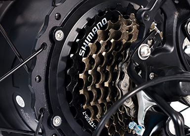 Shimano 7-speed Freewheel