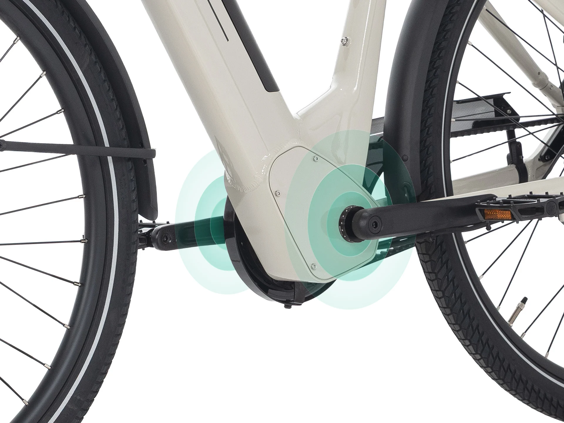 Torque Sensor